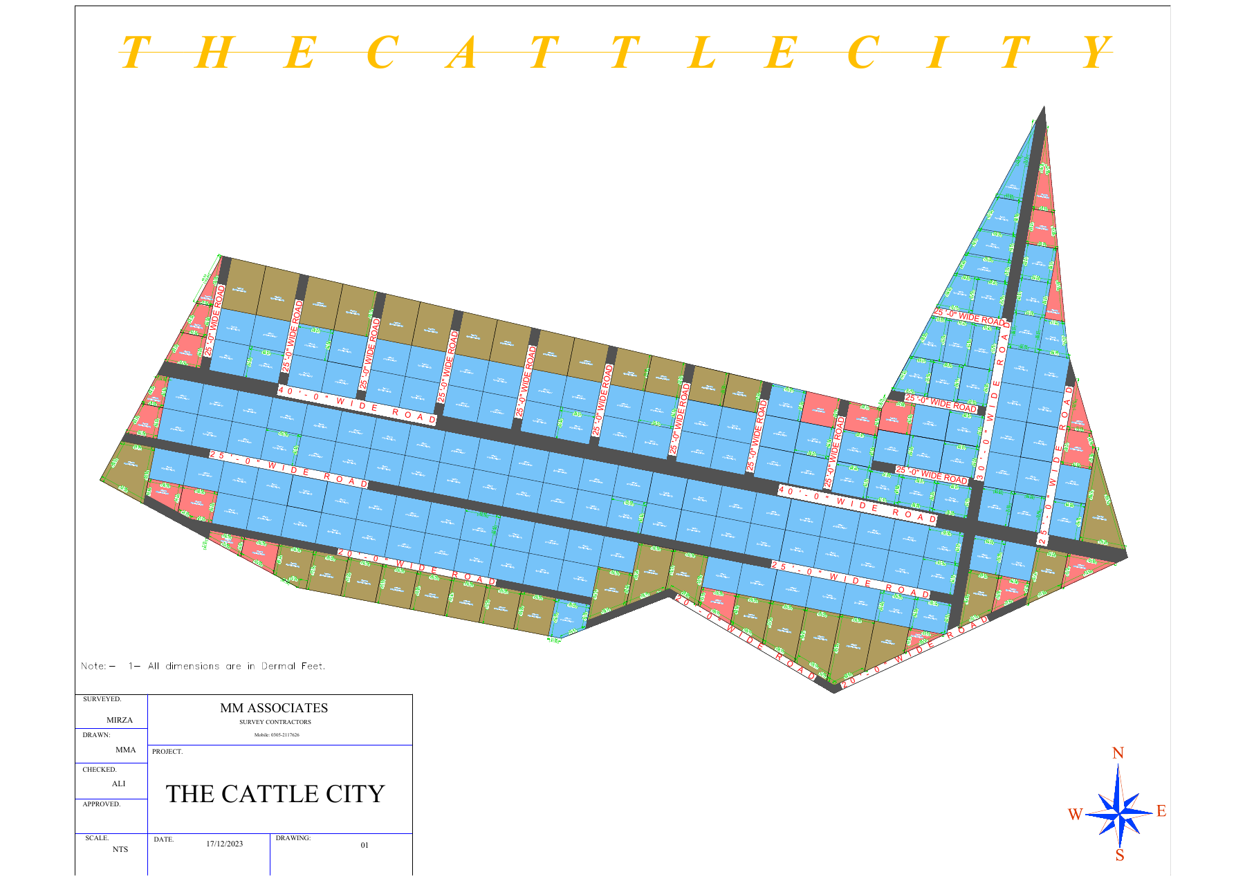 The Cattle City master layout showing plot blocks and dedicated roads